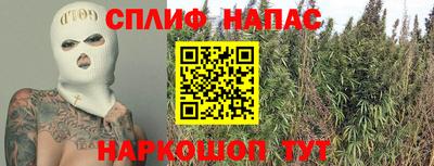 спиды Волгодонск