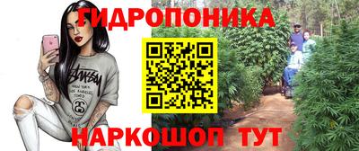спиды Волгодонск